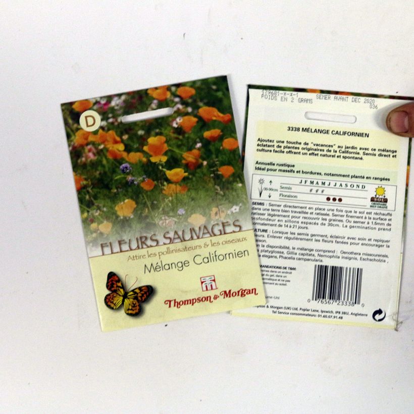 Exemple de spécimen de Graines de Fleurs sauvages - Mélange Californien le sachet de graines de 2 grammes tel que livré