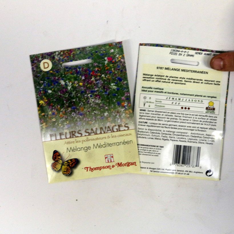 Exemple de spécimen de Graines de Fleurs sauvages - Mélange Méditerranéen le sachet de graines de 2 grammes tel que livré