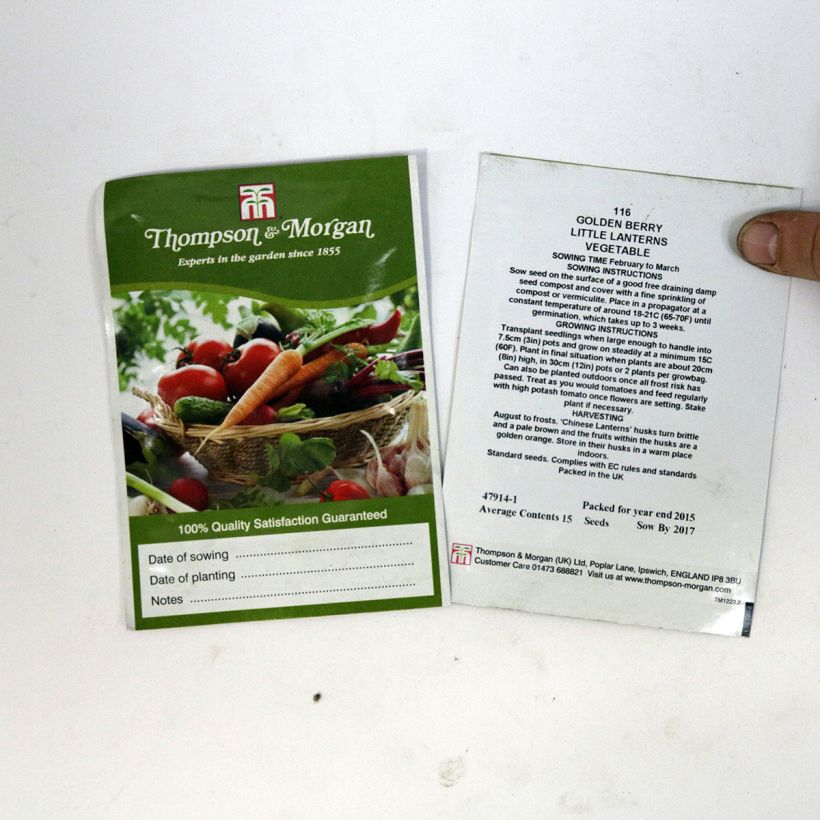 Example of Graines de Golden Berry Little Lanterns - Coqueret du Pérou le sachet de 15 graines environ as you get