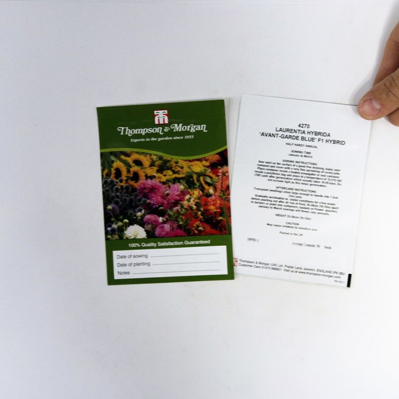 Exemple de spécimen de Graines de Laurentia Avant-Garde Blue F1 le sachet de 50 graines environ tel que livré