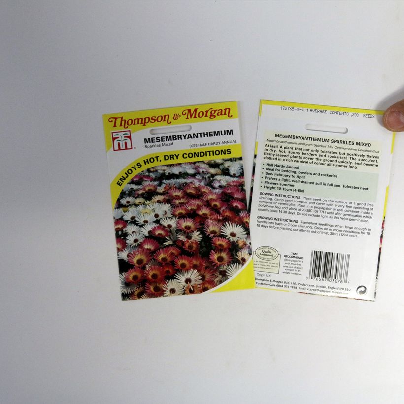 Exemple de spécimen de Graines de Mesembryanthemum Sparkles Mixed - Ficoïde le sachet de 200 graines environ tel que livré