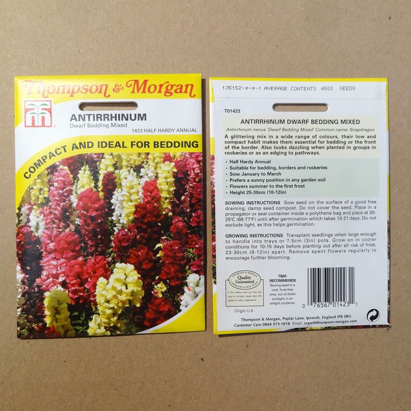 Exemple de spécimen de Graines de Muflier nain Dwarf Bedding Mixed - Antirrhinum nanum le sachet de 4500 graines environ tel que livré