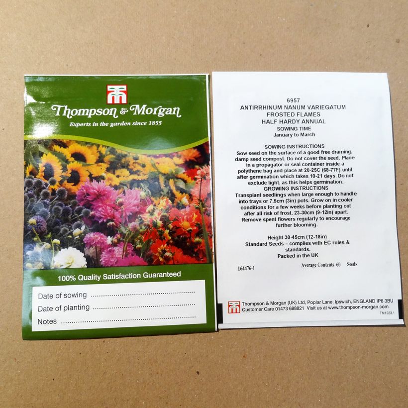 Exemple de spécimen de Graines de Muflier nain Frosted Flames - Antirrhinum nanum le sachet de +/- 100 graines environ tel que livré