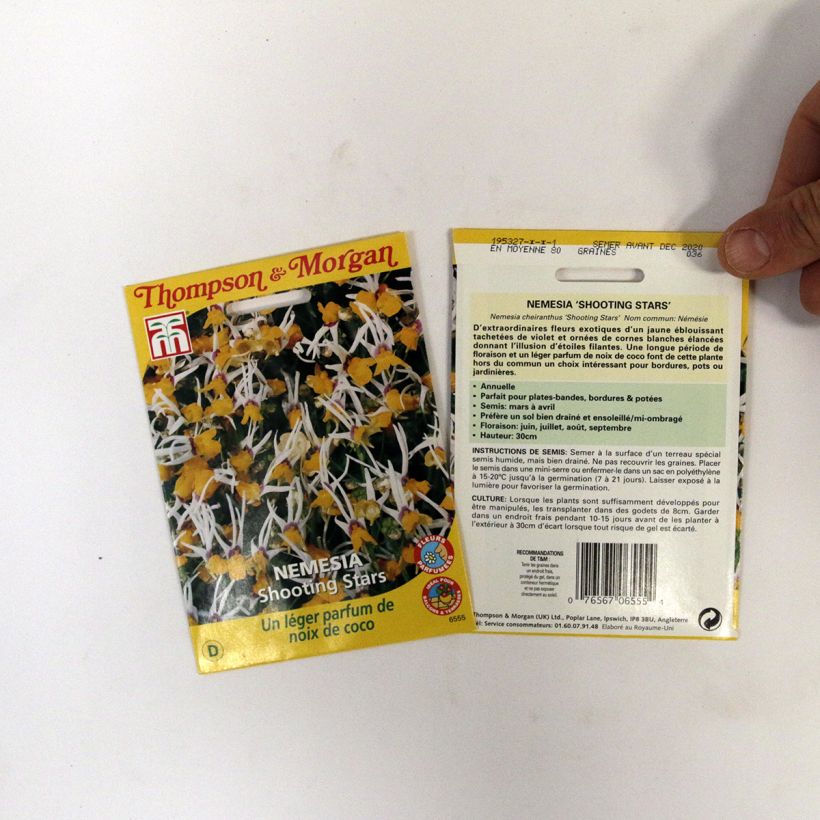 Exemple de spécimen de Graines de Nemesia cheiranthus Shooting Stars - Miroir des elfes le sachet de graines de 0.012 grammes tel que livré