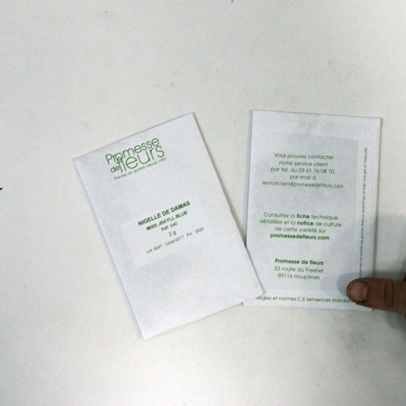 Exemple de spécimen de Graines de Nigelle de Damas Miss Jekyll Blue - Nigella damascena le sachet de +/- 600 graines environ (minimum 2g) tel que livré