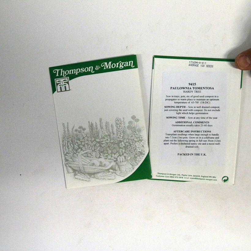 Exemple de spécimen de Graines de Paulownia tomentosa - Arbre impérial le sachet de 100 graines environ tel que livré