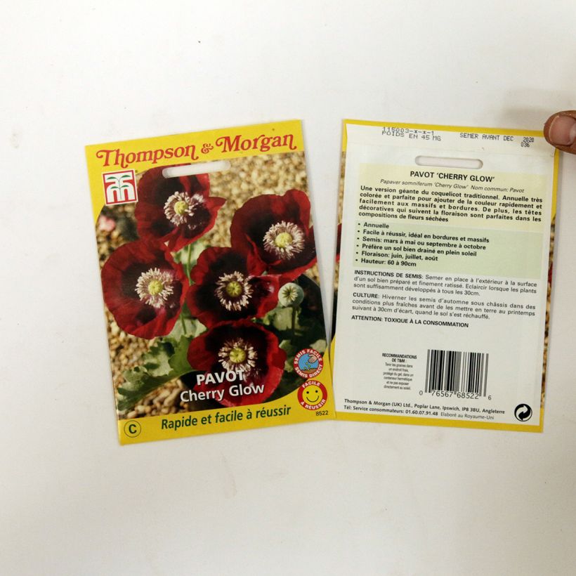 Exemple de spécimen de Graines de Pavot annuel Cherry Glow - Papaver somniferum le sachet de 200 graines environ tel que livré