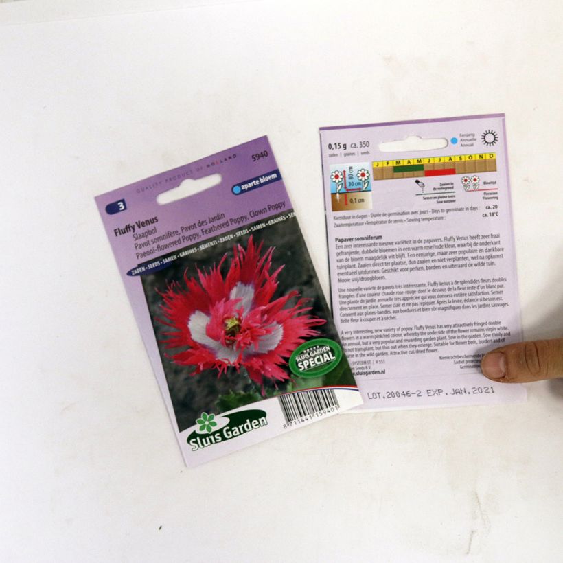 Exemple de spécimen de Graines de Pavot annuel Fluffy Venus - Papaver somniferum le sachet de 800 graines environ tel que livré