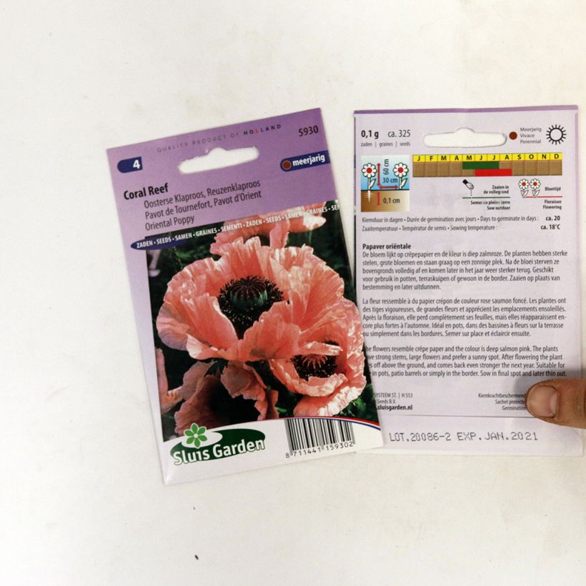 Exemple de spécimen de Graines de Pavot d'Orient Coral Reef - Papaver orientale  le sachet de +/- 400 graines environ (minimum 0,1g) tel que livré