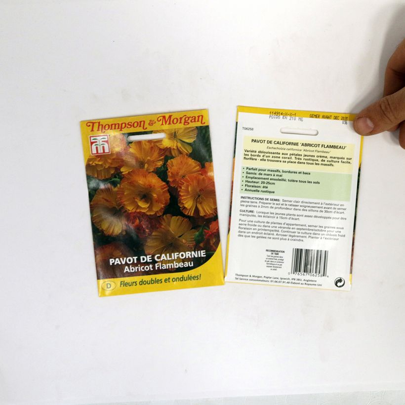 Exemple de spécimen de Graines de Pavot de Californie Apricot Flambeau - Eschscholzia californica le sachet de graines de 0.2 grammes tel que livré