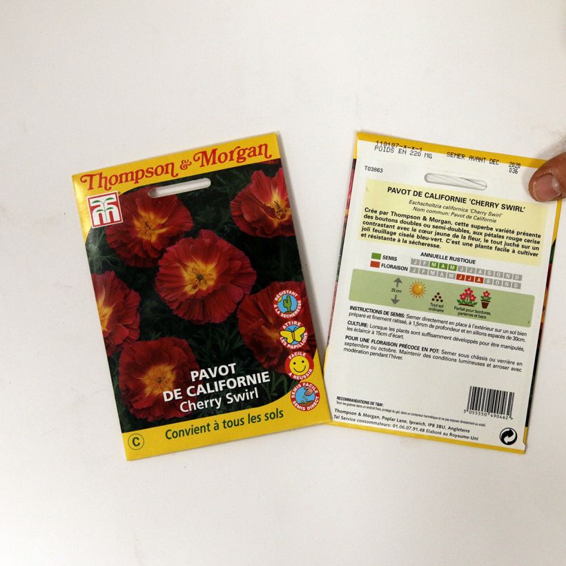 Exemple de spécimen de Graines de Pavot de Californie Cherry Swirl - Eschscholzia californica le sachet de +/- 250 graines environ (minimum 0,3g) tel que livré