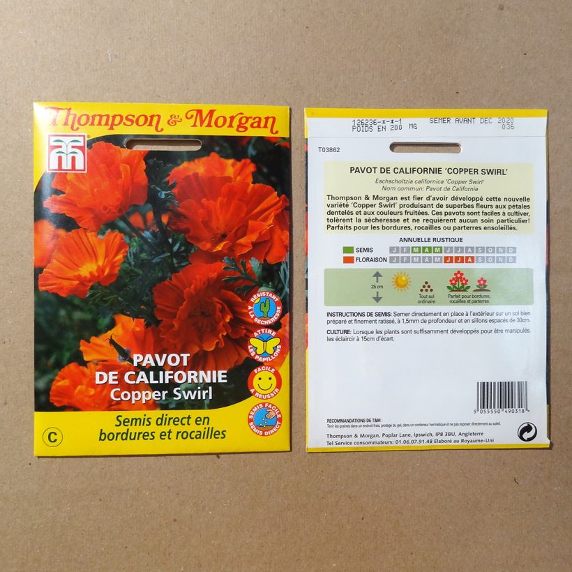 Exemple de spécimen de Graines de Pavot de Californie Copper Swirl - Eschscholzia californica le sachet de 150 graines environ (0.15g) tel que livré