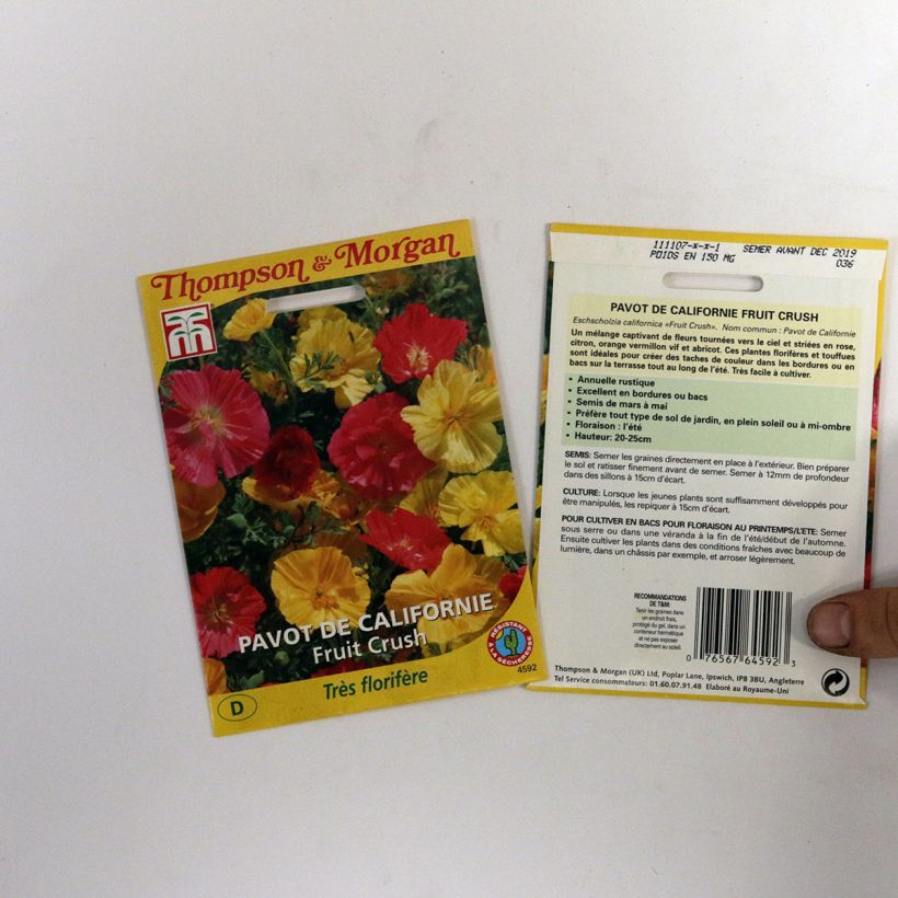 Exemple de spécimen de Graines de Pavot de Californie Fruit Crush - Eschscholzia californica le sachet de 150 graines environ tel que livré