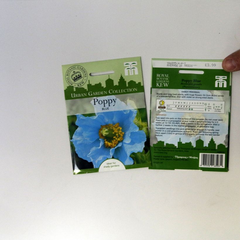 Exemple de spécimen de Graines de Pensée Chalon Supreme Wildberry Mixed - Viola x wittrockiana le sachet de 20 graines environ tel que livré