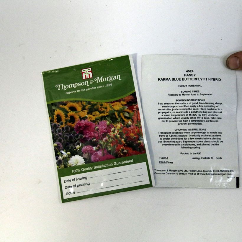 Exemple de spécimen de Graines de Pensée Karma Blue Butterfly F1 - Viola x wittrockiana le sachet de 20 graines environ tel que livré