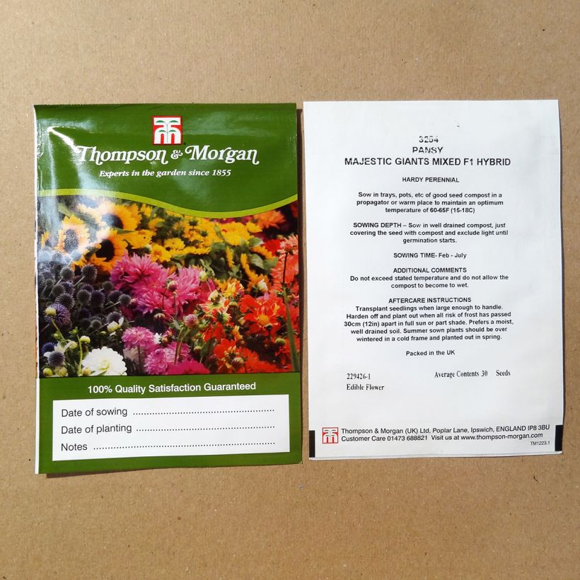 Exemple de spécimen de Graines de Pensée Majestic Giants Mixed F1 - Viola x wittrockiana le sachet de 30 graines environ tel que livré