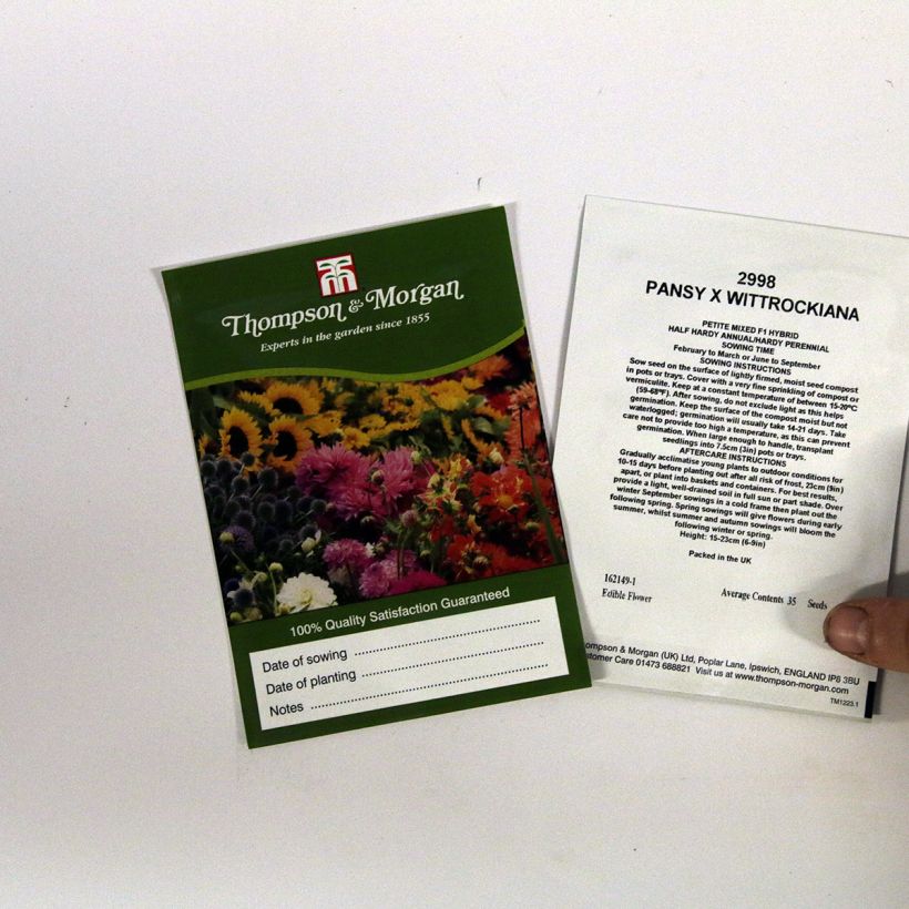 Exemple de spécimen de Graines de Pensée Petite Mixed F1 - Viola x wittrockiana le sachet de 35 graines environ tel que livré