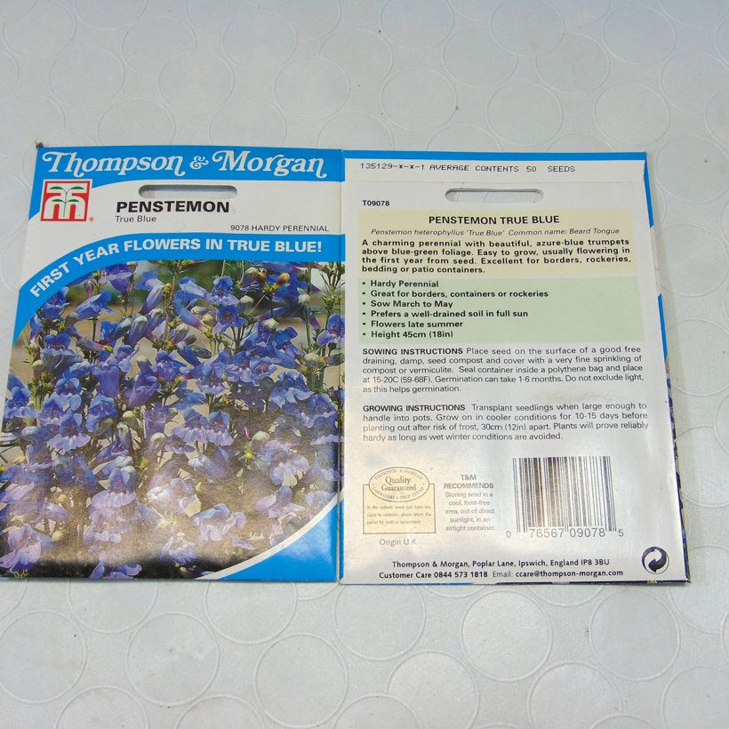 Exemple de spécimen de Graines de Penstemon heterophyllus True Blue - Galane le sachet de 50 graines environ tel que livré
