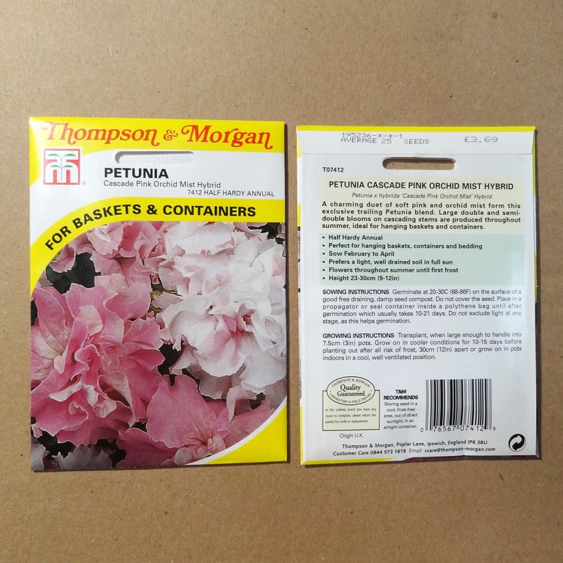 Exemple de spécimen de Graines de Pétunia Cascade Pink Orchid Mist F1 le sachet de 25 graines environ tel que livré