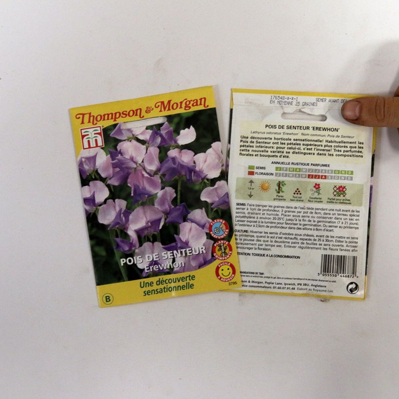 Exemple de spécimen de Graines de Pois de senteur Erewhon -  Lathyrus odoratus (x) belinensis le sachet de 25 graines environ (minimum 2,5g) tel que livré