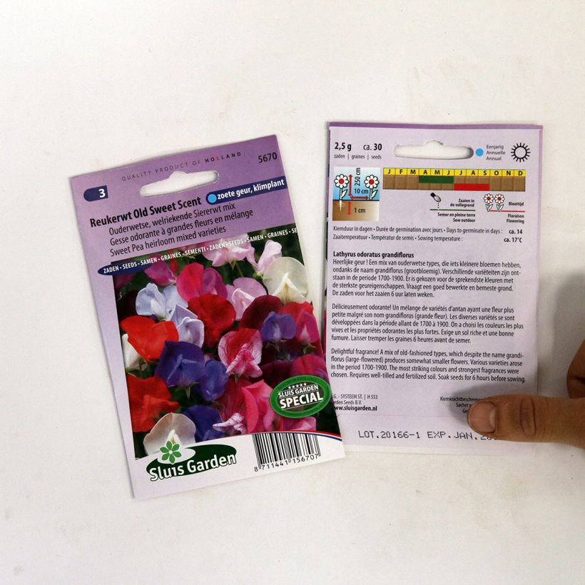 Exemple de spécimen de Graines de Pois de senteur Old Sweet Scent - Lathyrus odoratus  le sachet de 30 graines environ tel que livré