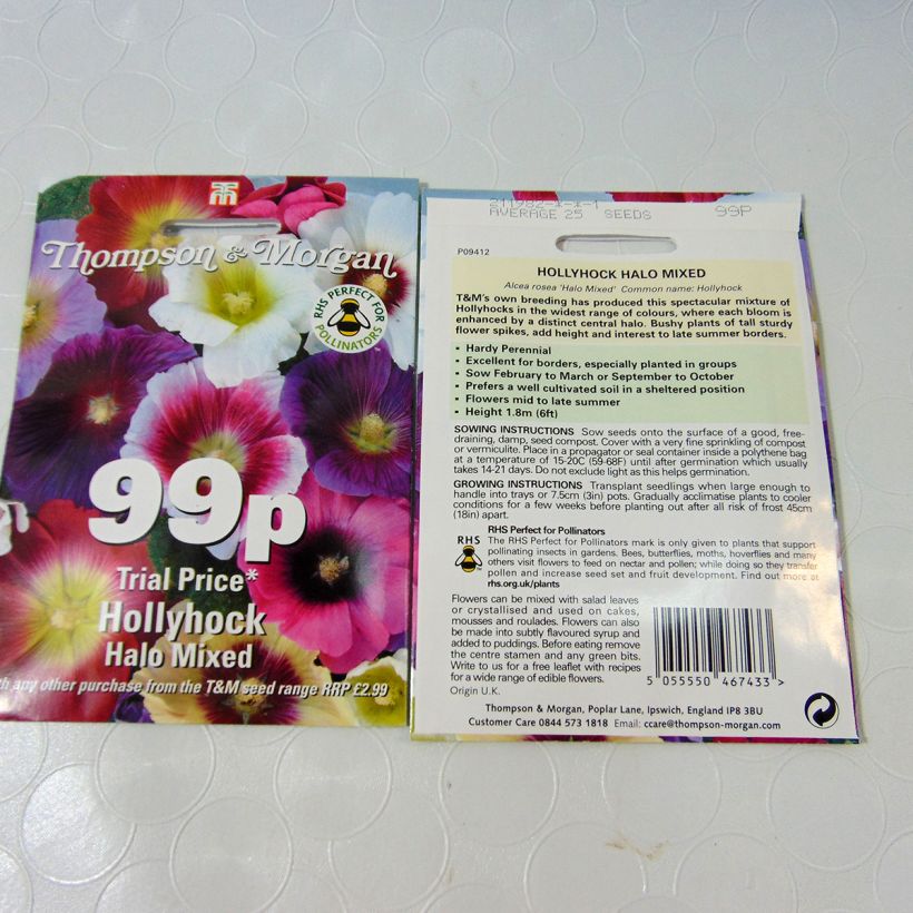 Exemple de spécimen de Graines de Rose trémière Halo Mixed - Alcea rosea le sachet de 25 graines environ tel que livré