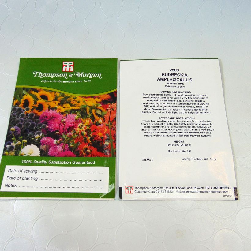 Exemple de spécimen de Graines de Rudbeckia Chapeau Mexicain - Rudbeckia amplexicaulis le sachet de +/- 400 graines environ (minimum 0,3g) tel que livré