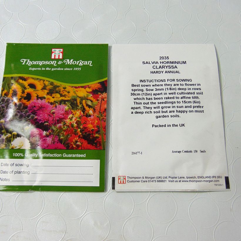 Exemple de spécimen de Graines de Salvia horminum Claryssa Mixed - Sauge verte en mélange le sachet de 150 graines environ tel que livré