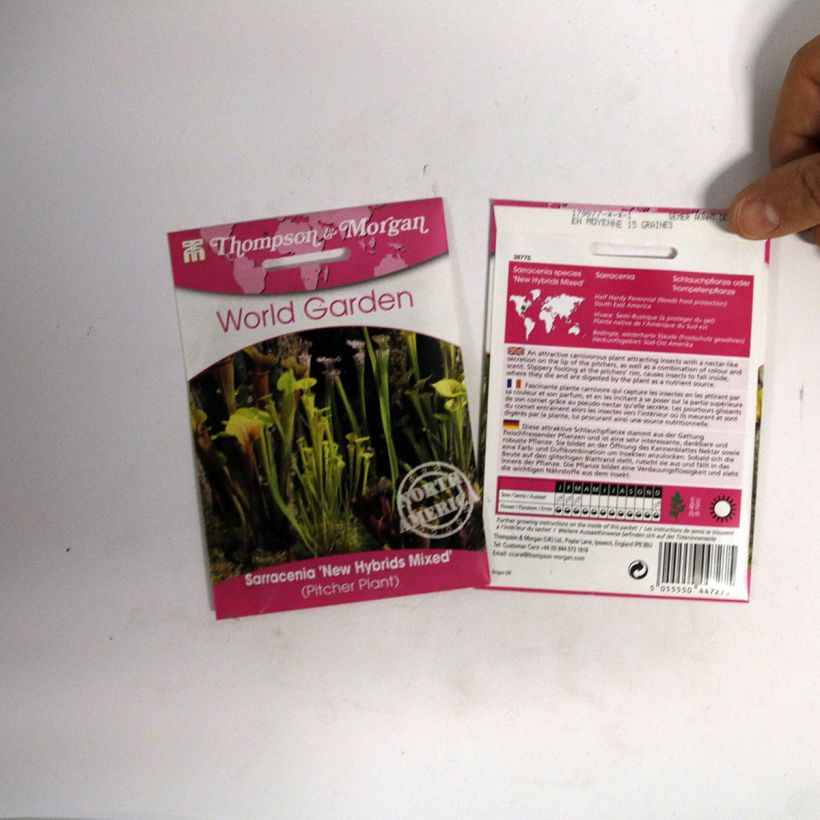 Example of Graines de Sarracenia New Hybrids en mélange - Attrape-Mouches de Vénus  le sachet de 15 graines environ as you get