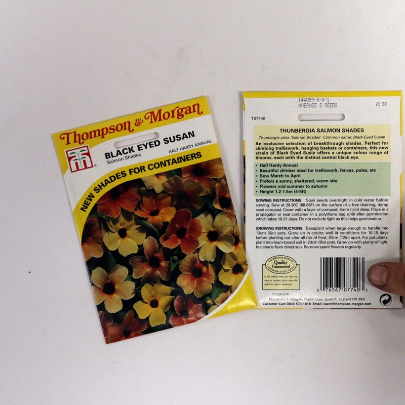 Example of Graines de Suzanne aux yeux noirs Salmon Shades - Thunbergia alata le sachet de graines de 2 grammes as you get