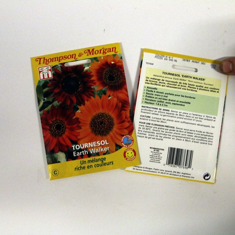 Exemple de spécimen de Graines de Tournesol Earth Walker - Helianthus annuus le sachet de graines de 0.95 grammes tel que livré