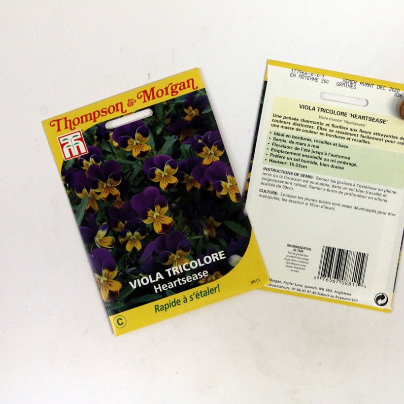Exemple de spécimen de Graines de Viola tricolor Heartsease - Pensée sauvage le sachet de 100 graines environ tel que livré