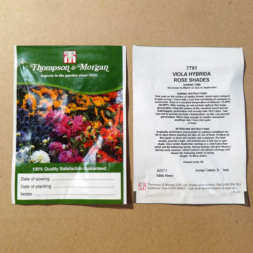 Exemple de spécimen de Graines de Viola Rose Shades  le sachet de 30 graines environ tel que livré