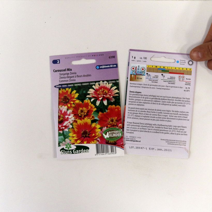 Exemple de spécimen de Graines de Zinnia elegans Carrousel en mélange le sachet de graines de 1 grammes tel que livré
