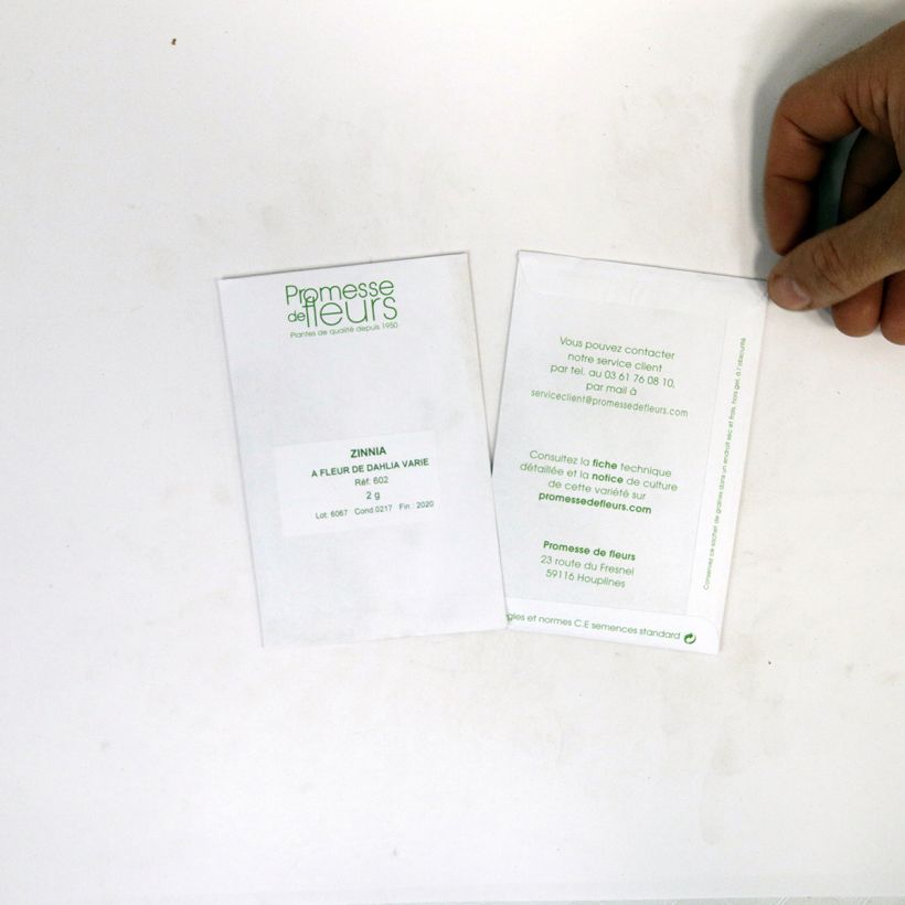 Example of Graines de Zinnia elegans à fleur de Dahlia en mélange le sachet de +/- 200 graines environ (minimum 2g) as you get