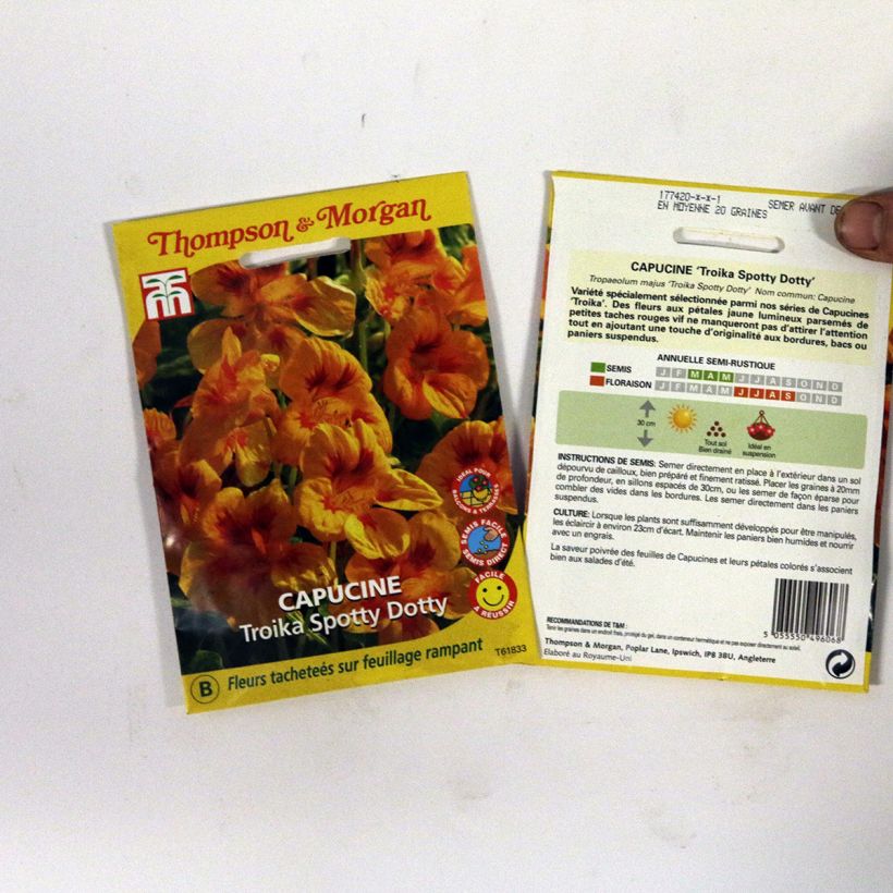 Example of Graines de Capucine naine Troika Spotty Dotty - Tropaeolum majus le sachet de 20 graines environ as you get