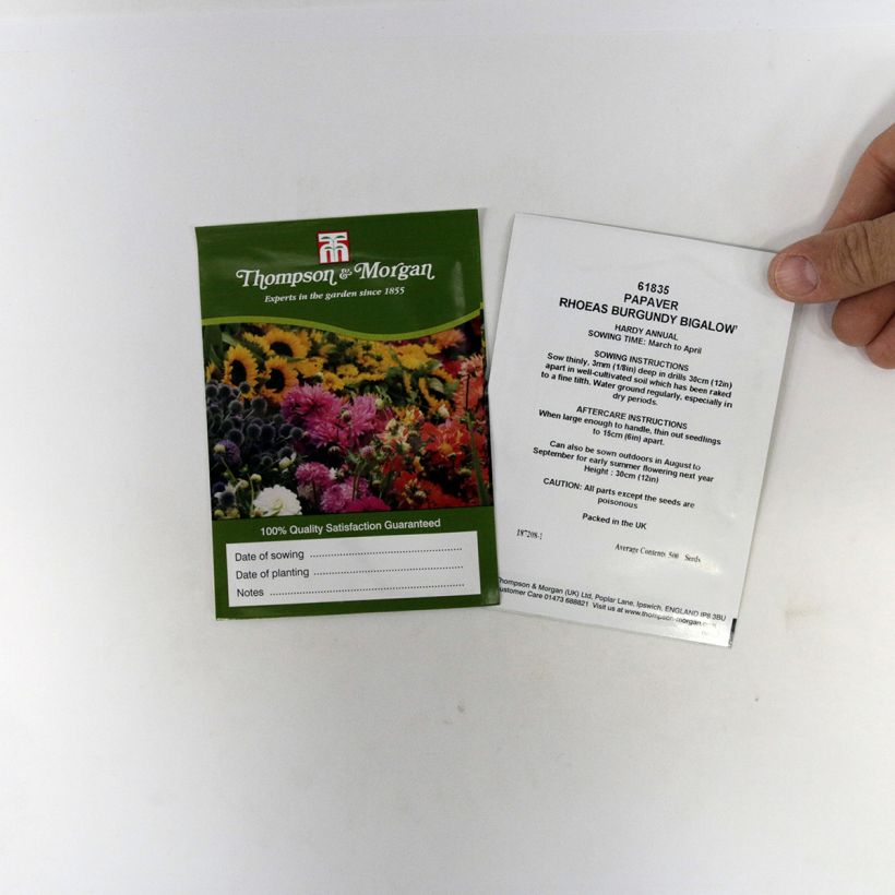 Exemple de spécimen de Graines de Coquelicot Burgundy Bigalow - Papaver rhoeas le sachet de 500 graines environ tel que livré