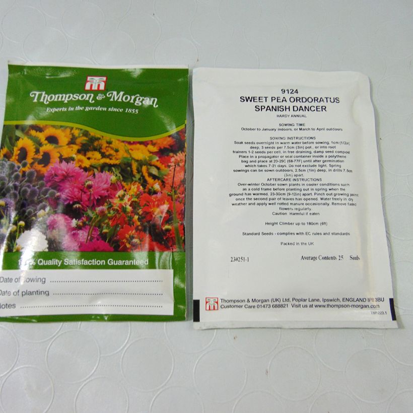 Exemple de spécimen de Graines d'Oeillet Russian Skies - Dianthus  le sachet de 30 graines environ tel que livré