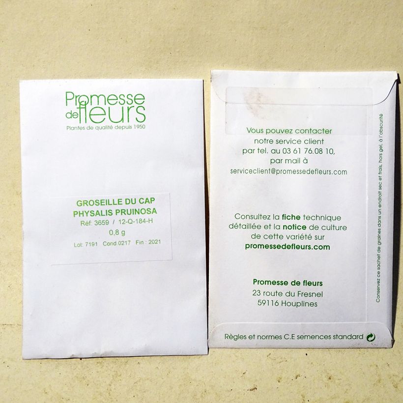 Exemple de spécimen de Groseille du Cap Preciosa - Physalis le sachet de 700 graines environ (minimum 0,8g) tel que livré