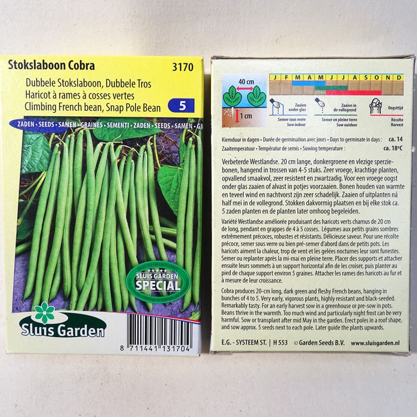 Exemple de spécimen de Haricot à rames mangetout Cobra le sachet de 130 graines environ (65g) tel que livré