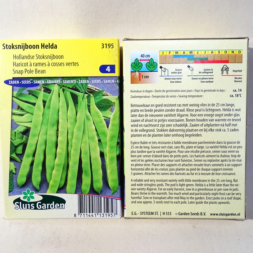 Exemple de spécimen de Haricot à rames mangetout Helda (gousses plates) le sachet de 150 graines environ (85g) tel que livré