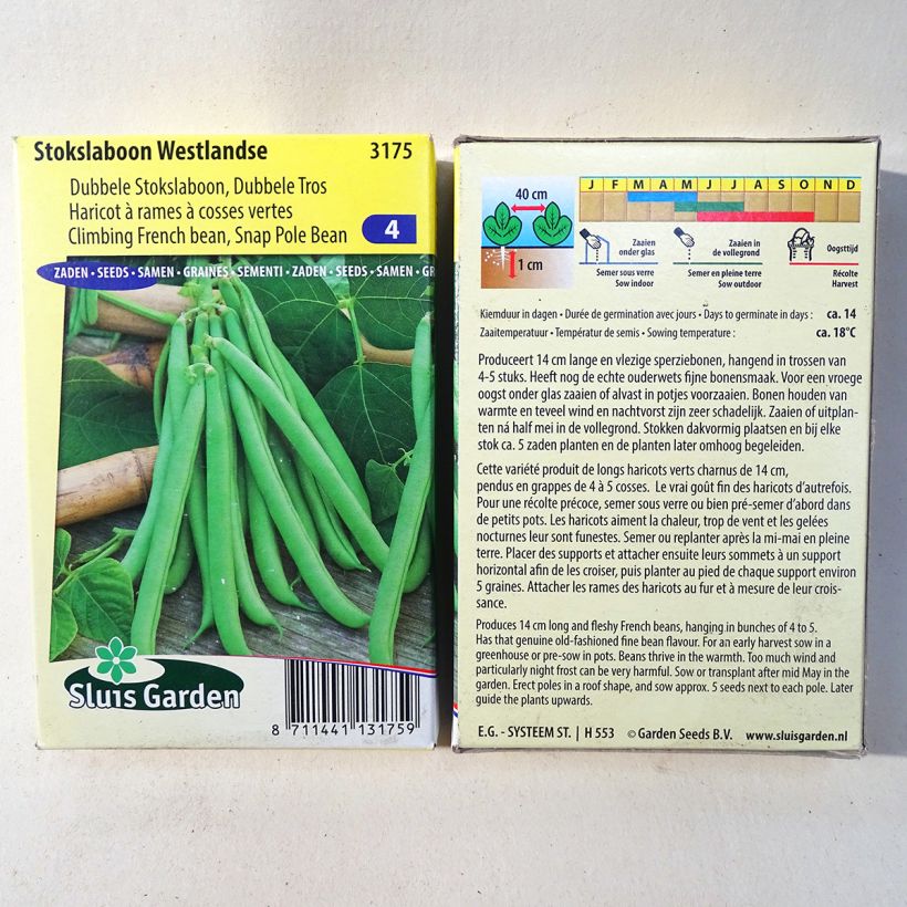 Exemple de spécimen de Haricot à rames mangetout Westlandse le sachet de 200 graines environ (100g) tel que livré