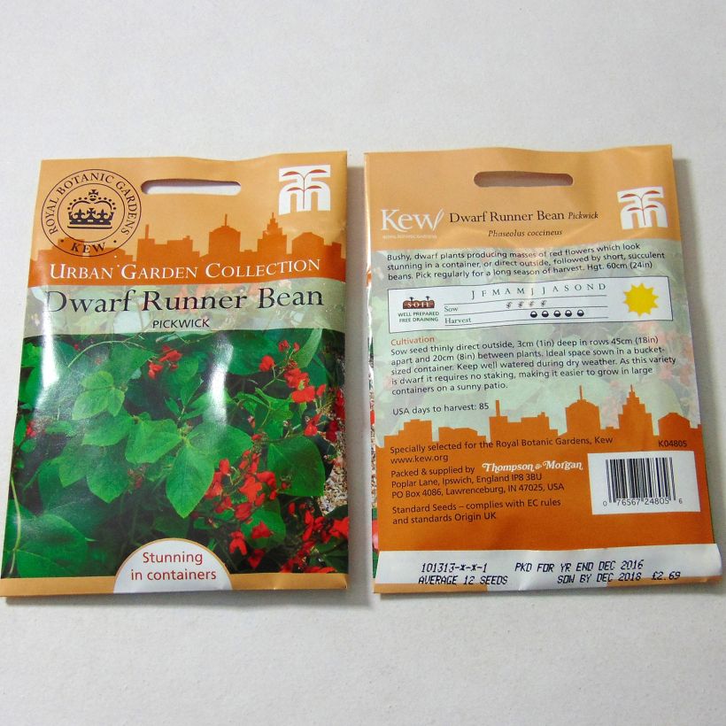 Exemple de spécimen de Haricot d'Espagne nain Pickwick - Haricot-fleur le sachet de 12 graines environ tel que livré