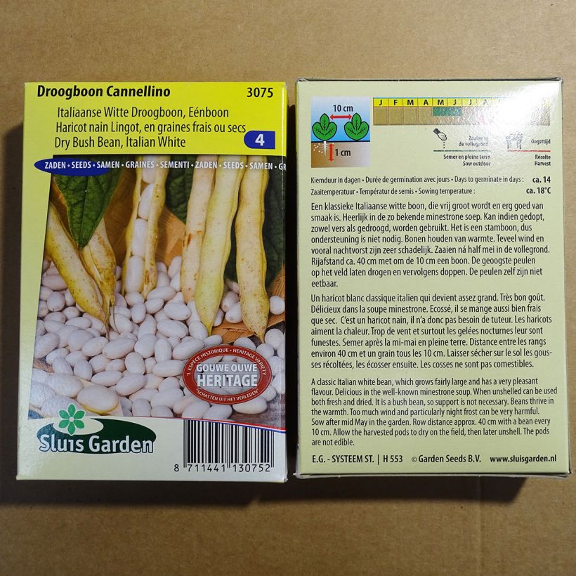 Exemple de spécimen de Haricot nain à écosser Cannellino (type Lingot) le sachet de 200 graines environ (100g) tel que livré