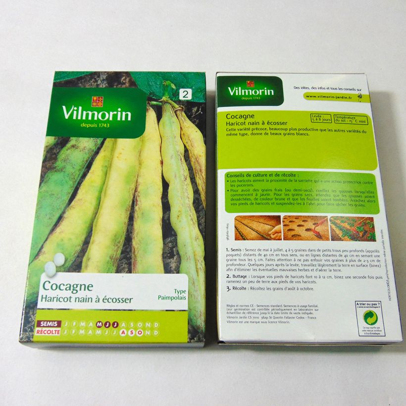 Exemple de spécimen de Haricot nain à écosser Cocagne  - Vilmorin le sachet de 400 graines environ (200g) tel que livré