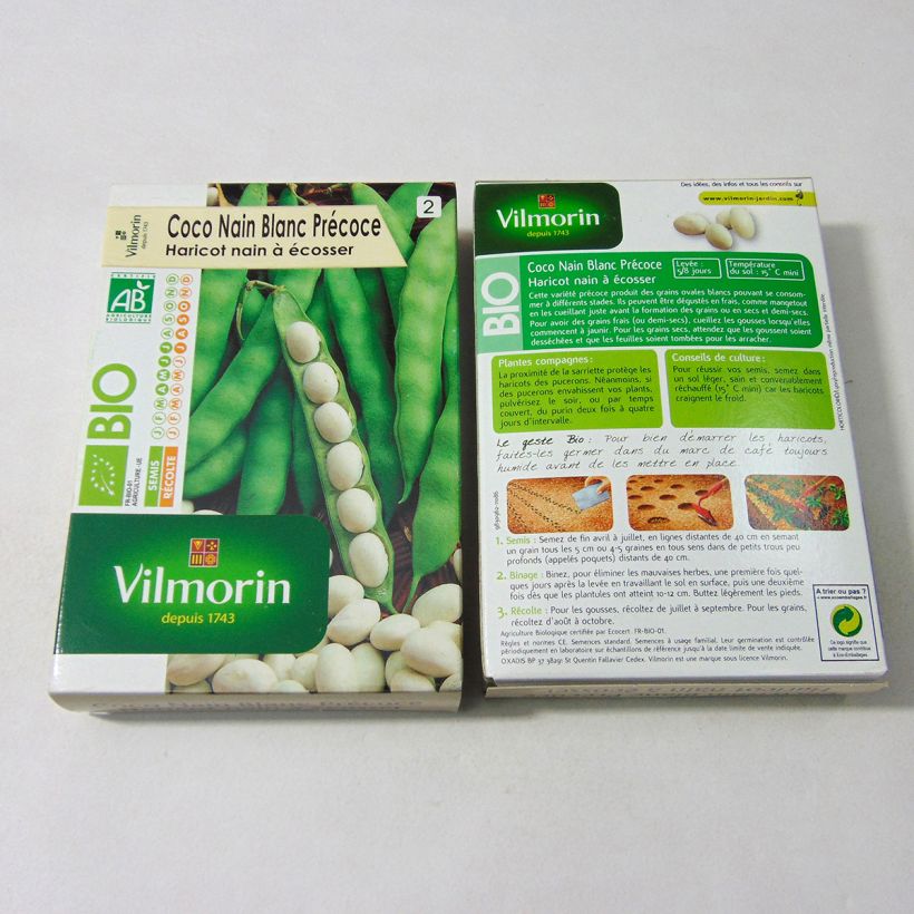 Exemple de spécimen de Haricot nain à écosser Coco Blanc précoce Bio - Vilmorin le sachet de 200 graines environ (100g) tel que livré