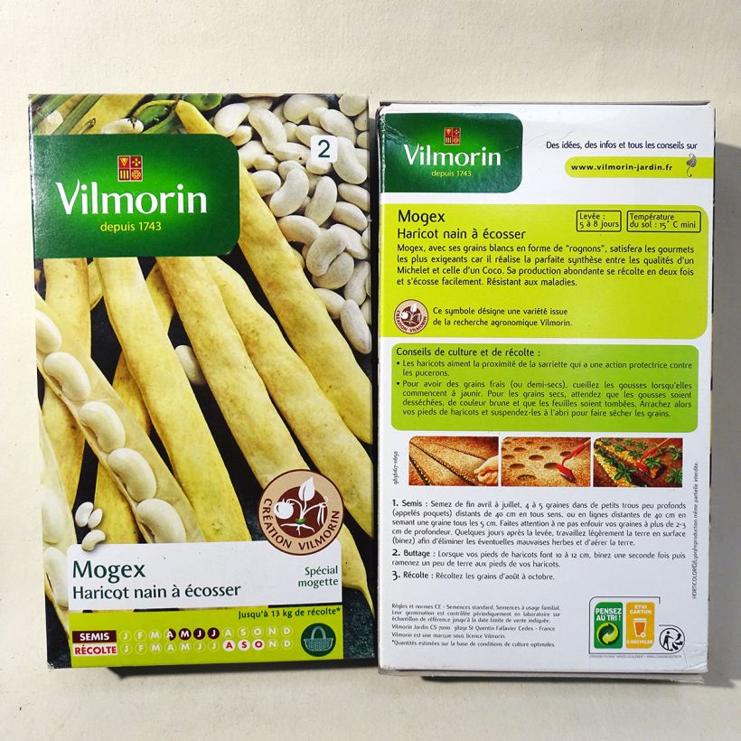 Exemple de spécimen de Haricot nain à écosser Mogex Boîte pour semer une ligne de 20 m tel que livré