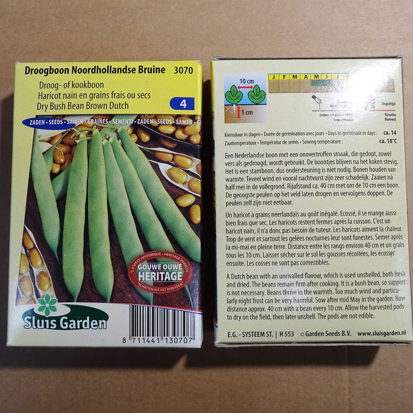 Example of Haricot nain à écosser Noordhollandse Bruine le sachet de 200 graines environ (100g) as you get