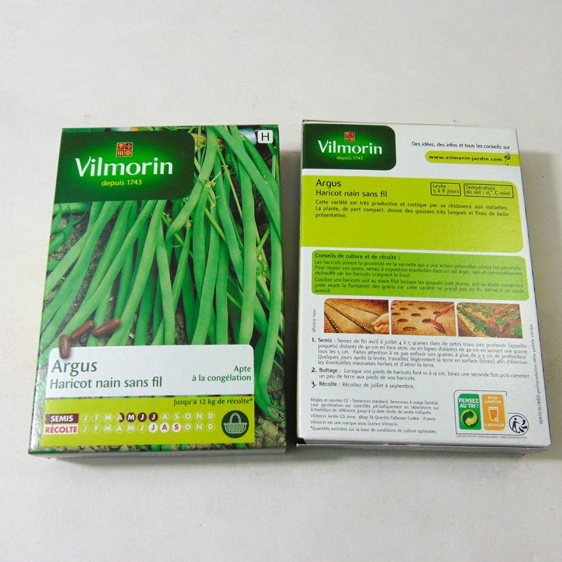 Example of Haricot nain à filet Argus - Vilmorin le sachet de 200 graines environ (100g) as you get