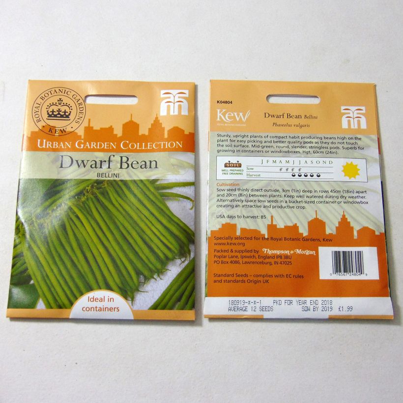 Exemple de spécimen de Haricot nain à filet Bellini le sachet de 12 graines environ tel que livré